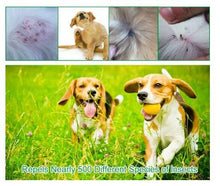 Load image into Gallery viewer, Waggie® - Anti-Flea, Tick, & Mosquito Collar (Advanced Protection)