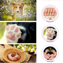 Load image into Gallery viewer, Dog Paw Moisturizer