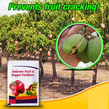 Load image into Gallery viewer, GoGreen Fruit & Veggie Fertilizer
