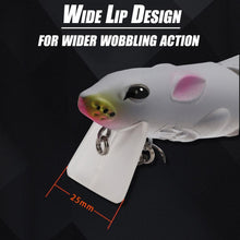 Load image into Gallery viewer, FALSE