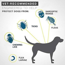 Load image into Gallery viewer, DEWEL™ Flea And Tick Collar For Pets