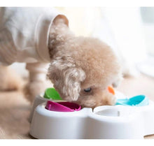 Load image into Gallery viewer, IQ Flip And Slide Dog Feeder