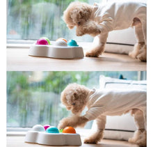 Load image into Gallery viewer, IQ Flip And Slide Dog Feeder