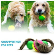Load image into Gallery viewer, Electric Beaver Ball