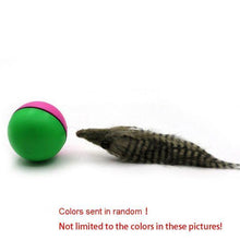 Load image into Gallery viewer, Electric Beaver Ball