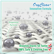Load image into Gallery viewer, Ultimate Stainless Cleaning Powder