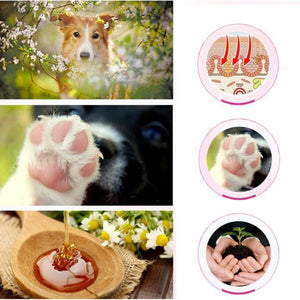 Dog Paw Moisturizer