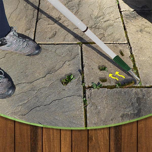 EZ Telescopic Weed Remover