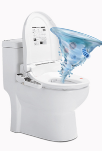 Automatic Toilet Cleaner