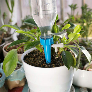 Plant Water Funnel