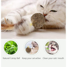 Load image into Gallery viewer, Natural Catnip Ball (2pcs)
