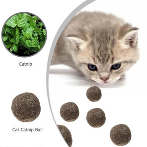 Natural Catnip Ball (2pcs)