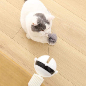 Auto Ball Lifting Cat Toy