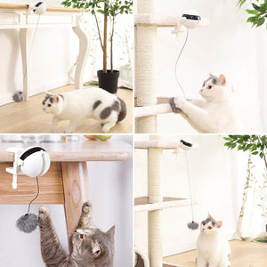 Auto Ball Lifting Cat Toy