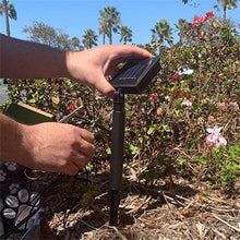 Load image into Gallery viewer, Solar Bear Claw Lawn Light
