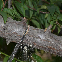 Load image into Gallery viewer, Portable Handheld Survival Chain Saw

