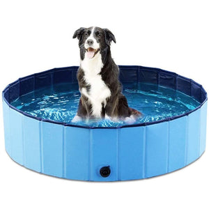 Portable Paw Pool