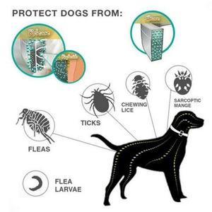 DEWEL™ Flea And Tick Collar For Pets