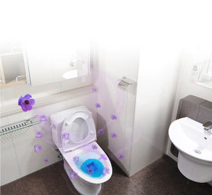 Automatic Toilet Cleaner