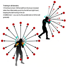Load image into Gallery viewer, SpeedBand™ Reflex Training Ball Set
