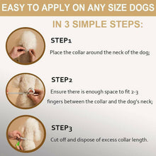 Load image into Gallery viewer, DEWEL™ Flea And Tick Collar For Pets
