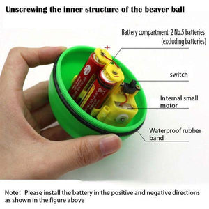 Electric Beaver Ball