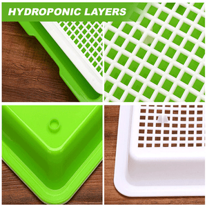 Hydroponic Seeding Tray