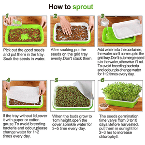 Hydroponic Seeding Tray