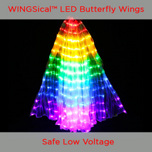 Load image into Gallery viewer, LED Butterfly Wings
